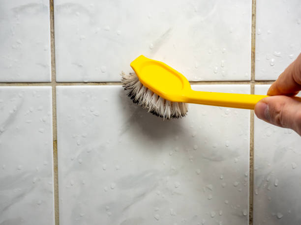 Best Affordable Mold Removal  in White Oak, PA