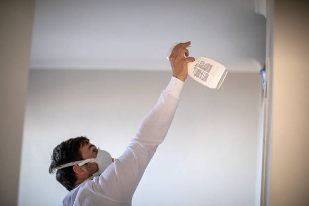 Best Black Mold Removal  in White Oak, PA