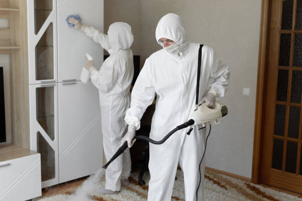 Professional Mold Removal in White Oak, PA