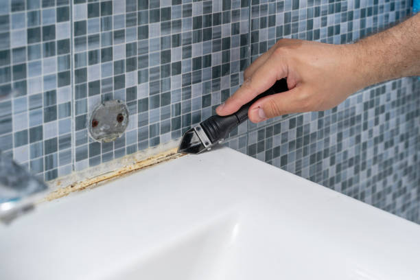 Best Residential Mold Removal  in White Oak, PA